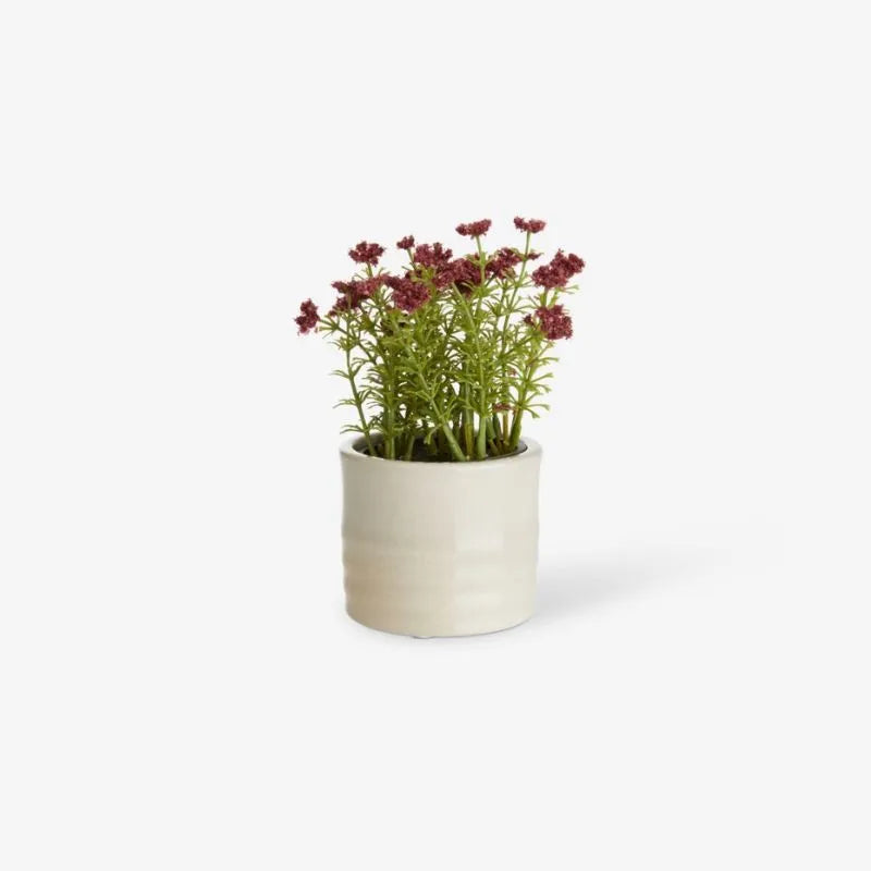 Small white flower pot