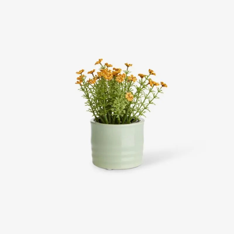 Tiny light green pot