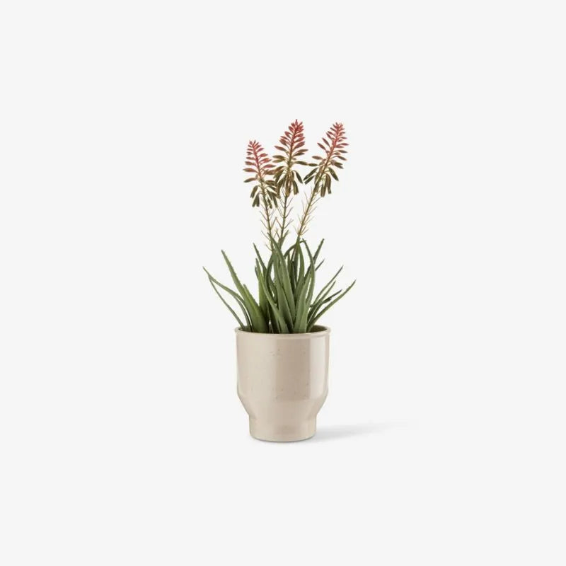 Pot de fleur blanc