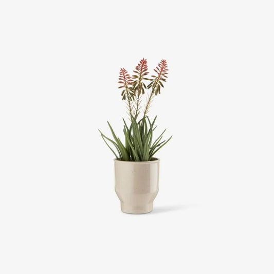 Pot de fleur blanc