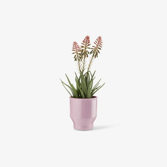 Pot de fleur rose