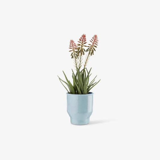 Pot de fleur bleu