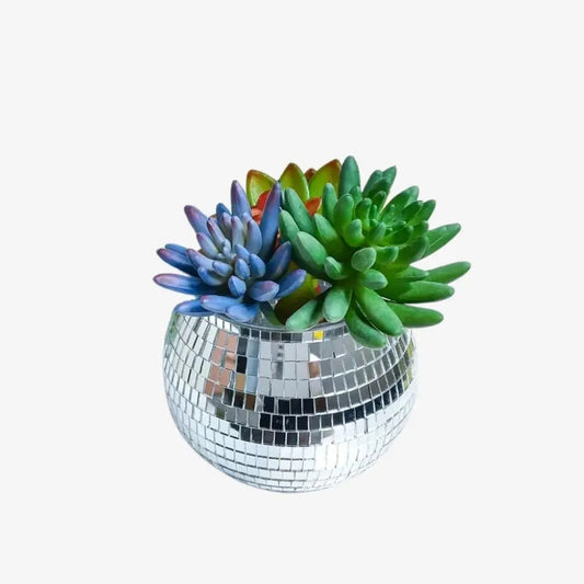 Pot Disco Glam