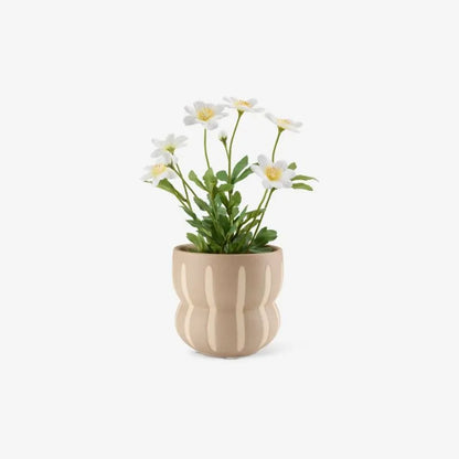 Gros pot de fleur
