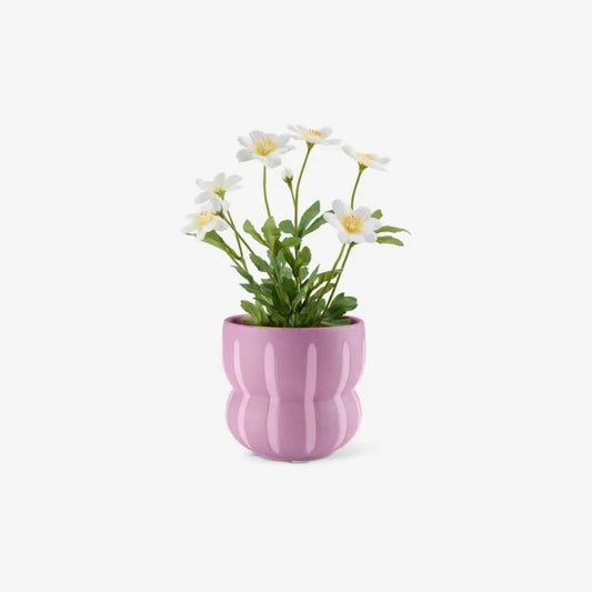 Gros pot de fleur