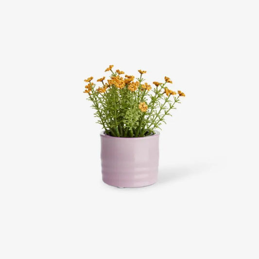 Tout petit pot rose clair