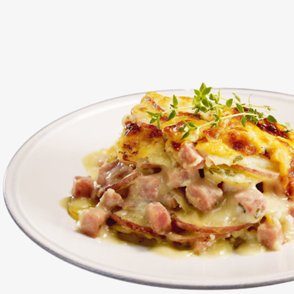Gourmet Recipes E-book